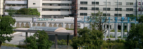 裏側に見えるコムズガーデン